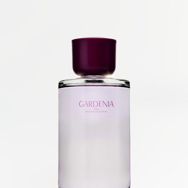 عطر زنانه زارا ZARA GARDENIA EDP 180 ML